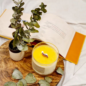 Clean, clean, clean! - Fresh Sage & Driftwood